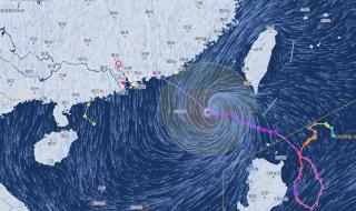 最新台风路径实时发布