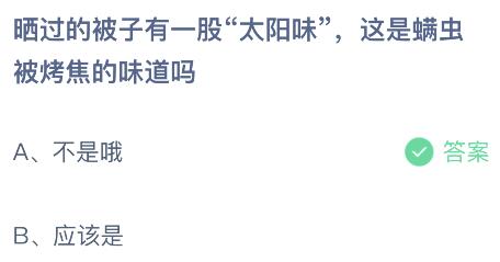 蚂蚁庄园小鸡今日答案最新：晒过的被子有一股太阳味是螨虫被烤焦的味道吗？