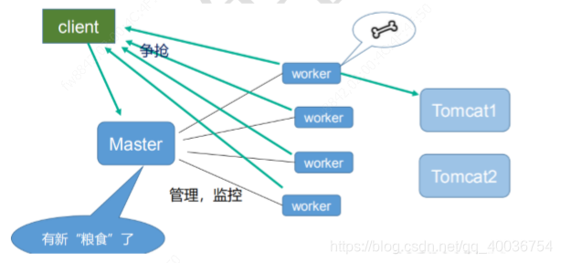 nginx学习，看这一篇就够了：下载、安装。使用：正向代理、反向代理、负载均衡。常用命令和配置文件,很全