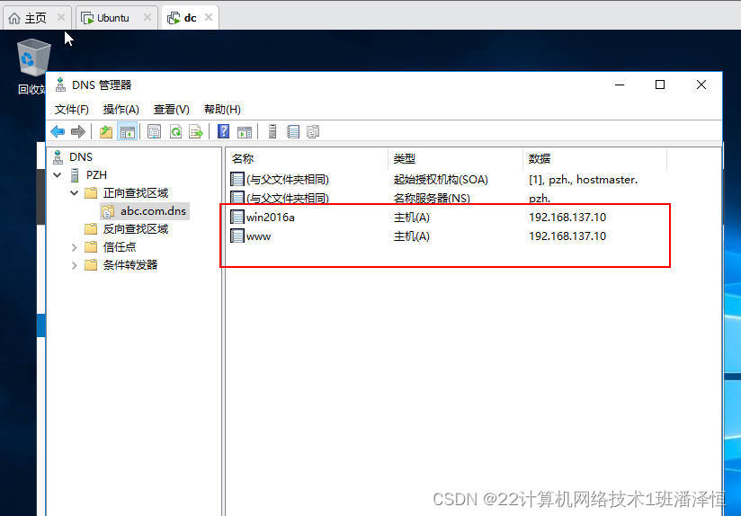 window网络与DNS管理