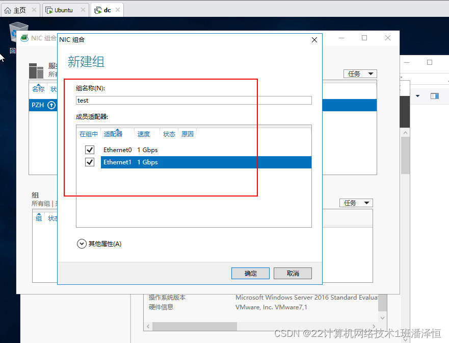 window网络与DNS管理