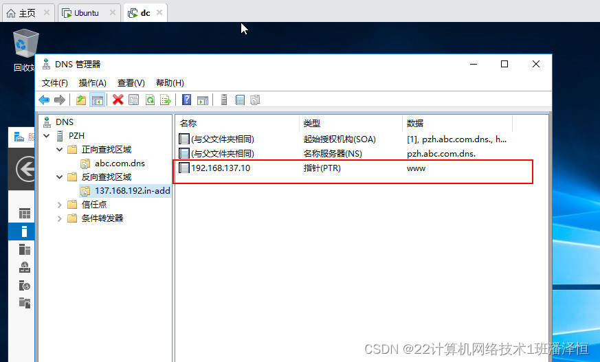 window网络与DNS管理