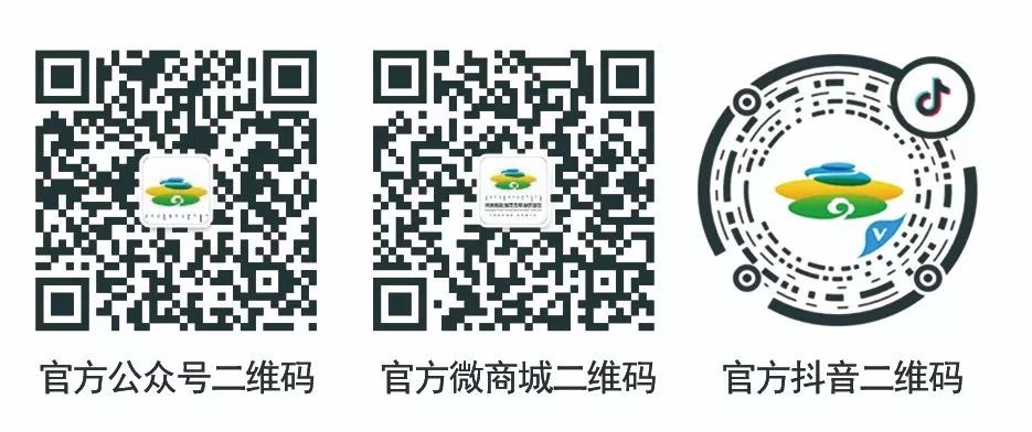 “辉腾锡勒草原上的小花”被曝光了，快来调查真相吧！